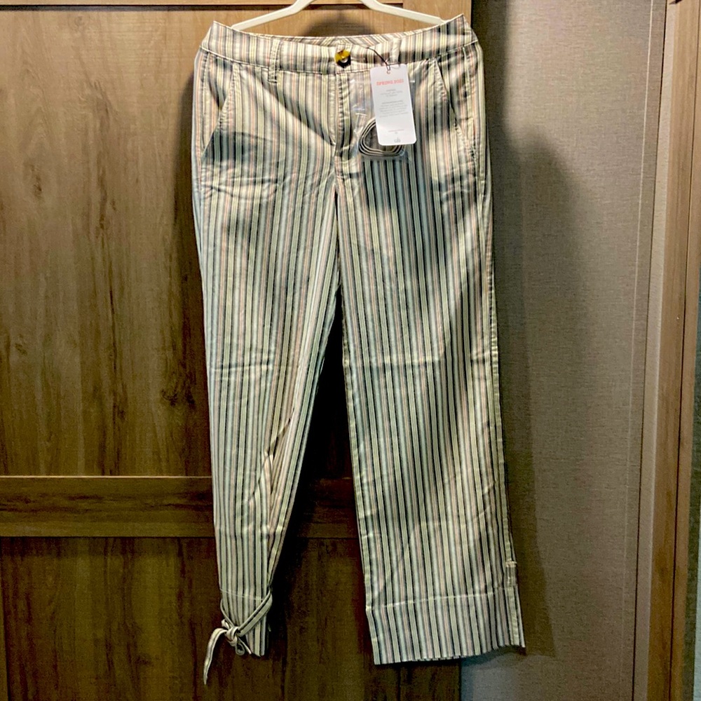 Cabi Convertible Trousers